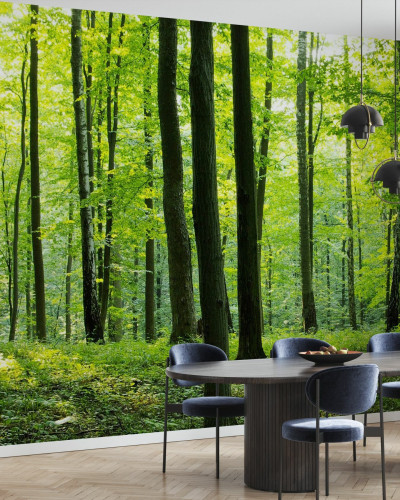 Tapet Rural Forest, cu o imagine realistică a unei păduri, perfect pentru a decora livingul, dormitorul sau orice altă cameră din casa dumneavoastră.