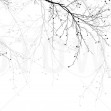 Black Beech, Photowall