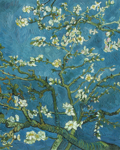 Tapet cu flori de migdal, inspirat de Vincent van Gogh.