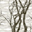 Ripple, Brown, Photowall
