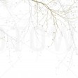 Black Beech, Beige, Photowall