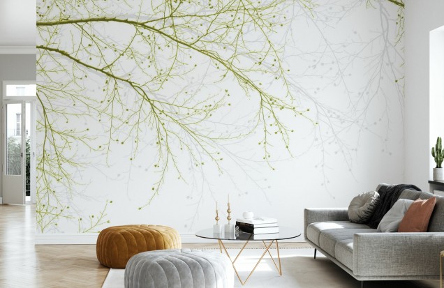 Photowall Black Beech, Green Photowall