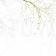 Black Beech, Green, Photowall