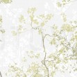 Memory, Olive, Photowall