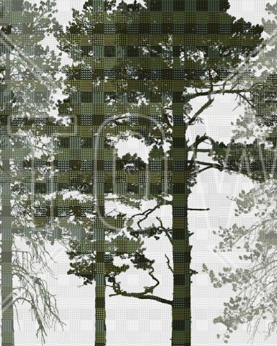 Fototapet Photowall PHW-E21497. Conține culorile: Verde, Verde Palid, Negru, Negru Închis, Verde, Verde Măsliniu, Alb, Alb Trafic