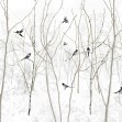 Pattern Magpie, Photowall