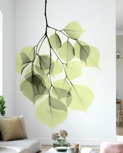 Fototapet Photowall PHW-E21792. Conține culorile: Verde, Verde Pastel, Verde, Verde Palid, Verde, Verde Măsliniu, Negru, Negru Închis, Alb, Alb Trafic