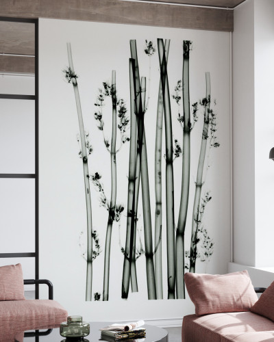 Tapet minimalist cu plante din deșert, perfect pentru a adăuga un strop de natură în casa ta.