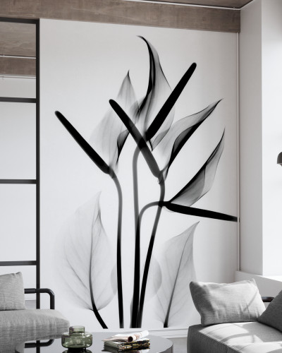 Fototapet cu design modern și elegant, cu o plantă cu frunze delicate în tonuri de gri și negru, ideal pentru living, dormitor sau birou.