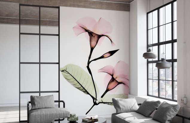 3D Photo Wallpaper Mandevilla, Photowall