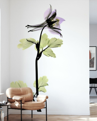 Tapet floral Columbine cu o floare delicata in nuante de violet si verde