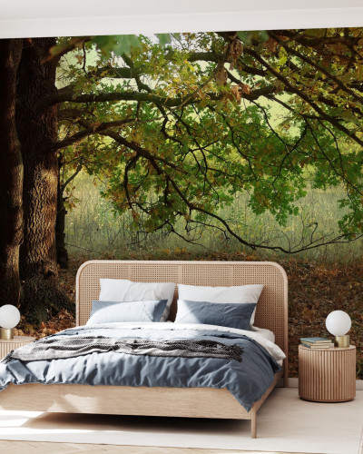 Autumn Leaves of Oak Tree wallpaper with sun shining through the leaves