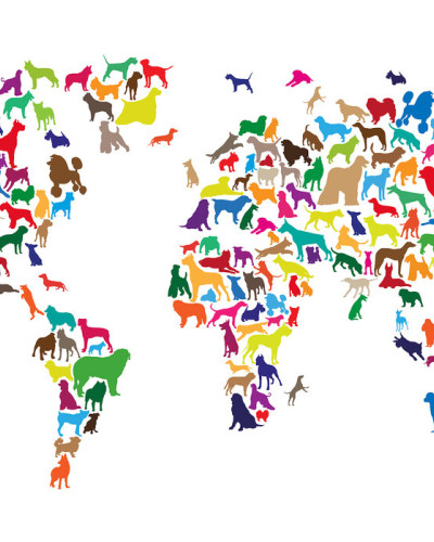Tapet cu harta lumii si câini multicolori