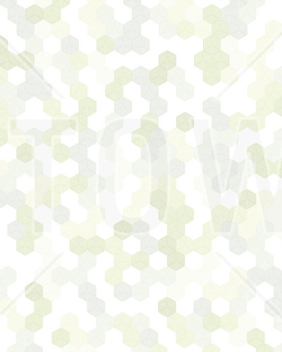 Tapet hexagonal cu design geometric simplu, în tonuri de verde deschis și alb.