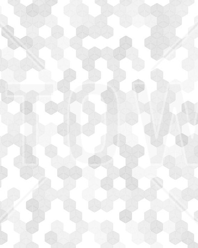 Tapet Hexagon gri cu design geometric modern