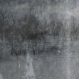 Lost Landscape, Dark, Photowall