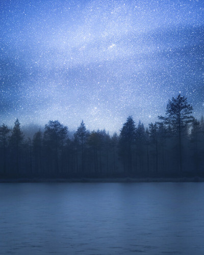 Un Andromeda cu cerul nopții înstelat deasupra unui lac și a unei păduri.
