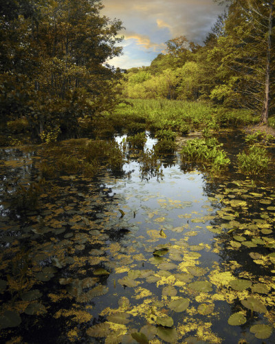 The Wetlands, un The Wetlands captivant cu un peisaj de lacuri cu nuanțe de verde, galben și albastru