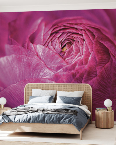 Tapet foto Ranunculus Abstract, cu o floare de ranuncul in culori vibrante