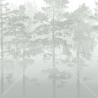 Misty Pine Forest, Green, Photowall