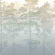Misty Pine Forest, Photowall