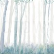Trees, Blue, Photowall