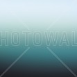 Miami Emerald, Photowall