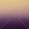 Miami Fairytale, Photowall