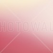 Miami Pink Grape, Photowall