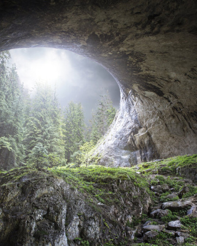 Tapet cu o peșteră ce se deschide spre o pădure cu o lumină misterioasă.