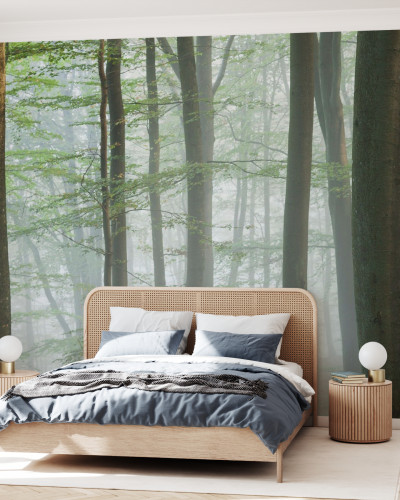 Wallpaper Misty Beech Forest cu un peisaj liniștit de pădure, cu copaci înalți și o ceață ușoară. Ideal pentru dormitoare, livinguri sau birouri.