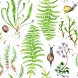 The Moss Garden After Rain, Photowall
