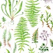 The Moss Garden Before Rain, Photowall