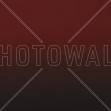 Miami Bovine Blood, Photowall