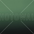 Miami Forest Green, Photowall
