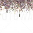 Flowers Fade Pink, Photowall