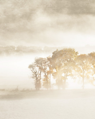 Autumn Dreams, Photowall