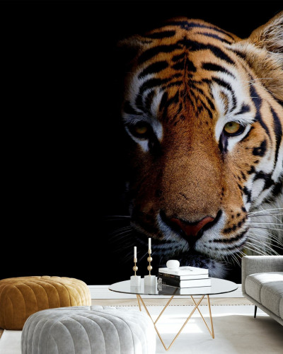 Tapet cu un Tiger realist, pe fundal negru