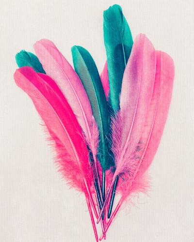 Tapet cu pene colorate, design modern si elegant.