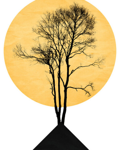 Japanese Zen, Photowall