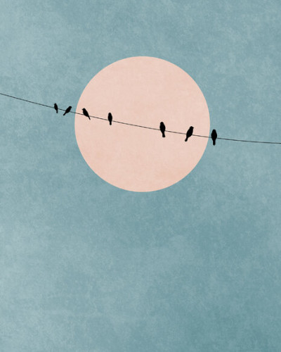 Wallpaper minimalist cu un fundal bleu pastelat, un disc soare roz și o linie cu păsări negre.