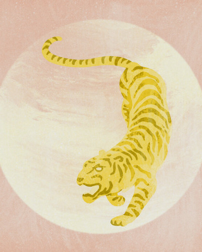 Tapet cu design modern si vibrant, Tiger pink, cu un tigru galben pe un fundal roz.