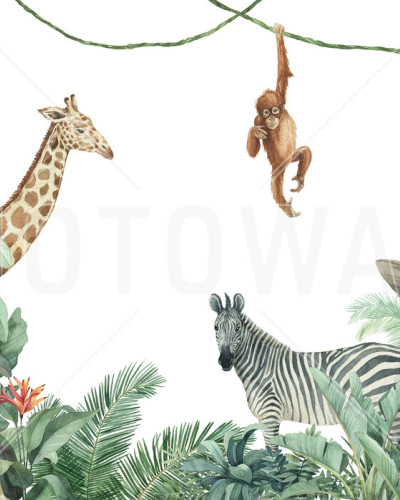Jungle Friends, Photowall