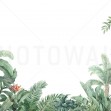 Tropical Arrangement, Photowall