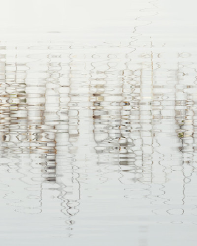Tapet Water Light and Reed