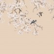 Birds Hangout, Peach, Photowall