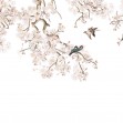 Birds Hangout, Photowall
