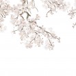 Hanging Branches, Photowall