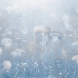 Jellyfish Garden, Blue, Photowall