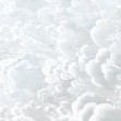 Cradled in Clouds II, Photowall